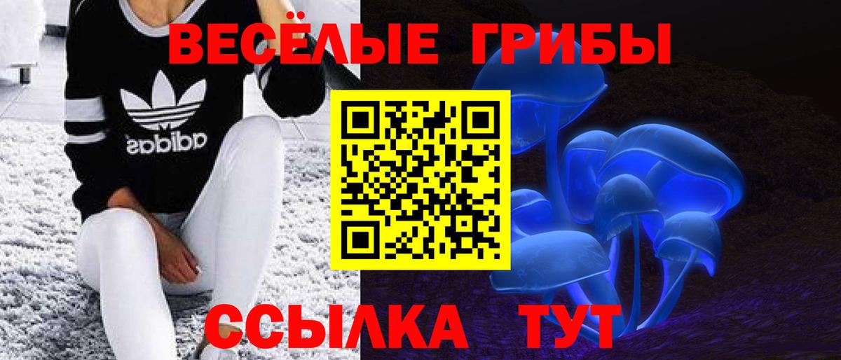 как найти закладки  Вход с VPN  Псилоцибиновые грибы Magic Shrooms  Соль-Илецк  Псилоцибиновые грибы Cubensis 
